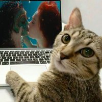 a puta da sua mãe ⛧ (@n1cotinax) 's Twitter Profile