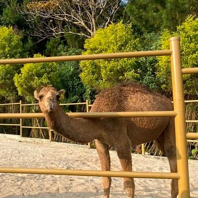 addictcheeseeee's profile picture. 