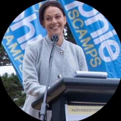 Independent Federal Member for Mackellar. Technology Optimist. Board Chair and Tesla Shareholder Working to make the world a better place and community.❤️
