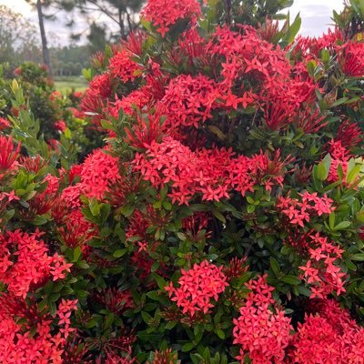 MBTombes's profile picture. 