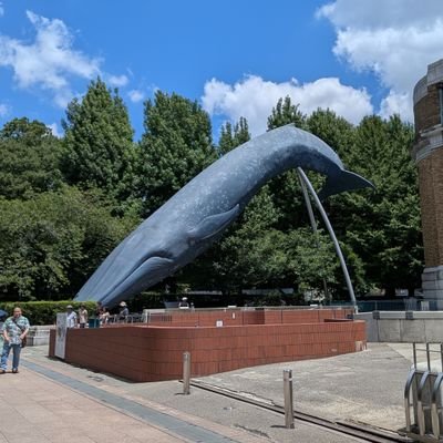 kLmSSlYb7z7's profile picture. 前のアカウントなぜかログインできないので仮です
