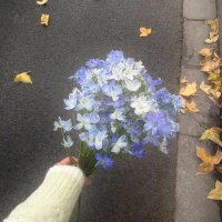 γγππ (@7j_ip) 's Twitter Profile