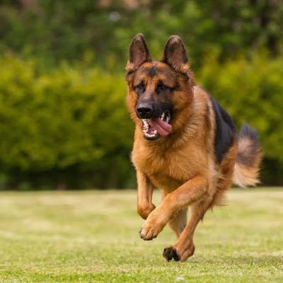 Utahhh009's profile picture. 色々なジャンルを探索中！