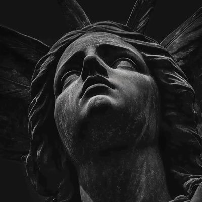 ryan_mutebi's profile picture. 