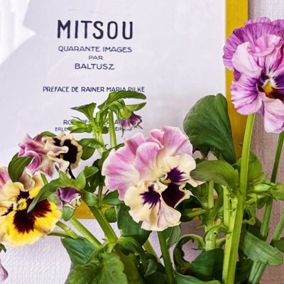 follow_my_nose's profile picture. 鼻の赴くままに生きてます。世界で一番幸せな香りは鳥さんの羽毛の香り。お花はパンジー&ヴィオラ狂。音楽はノイズとテクノとクラシック。紅茶も沼。花鳥風月でやらせてもらってます。