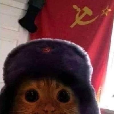 v4ticancame0s's profile picture. question 4 the culture