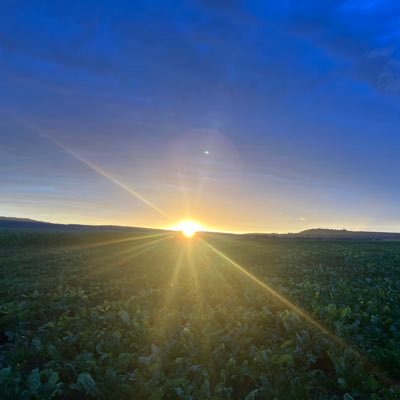 #EnergiesRenouvelables, #Photovoltaique, #Méthanisation 🌻🌾🇫🇷🇵🇱🇬🇧🇪🇺🇨🇭🇩🇪🇧🇪🇨🇦🇳🇱☀️🐓#dnb