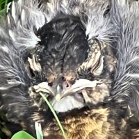 Jeff Chandler (@jeffchandl39699) 's Twitter Profile