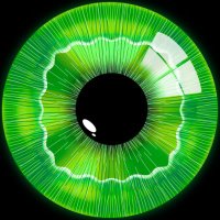 Blocklens AI (@blocklensai) 's Twitter Profile