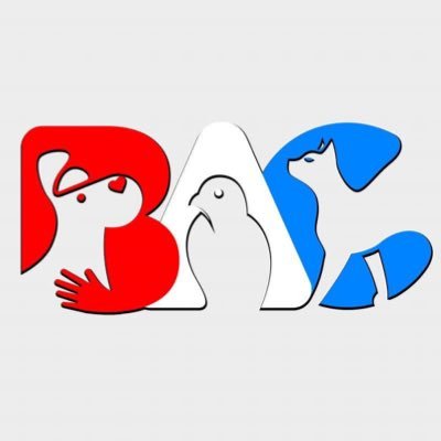 Volunteers for animal welfare 🐶; mostly workers and students. Animals in need? Please follow us Contact via WhatsApp at 👉 https://t.co/Uk60nHWTIS