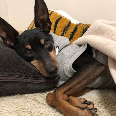 seiyasan2's profile picture. 
