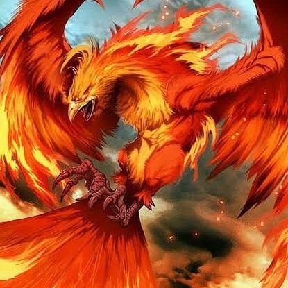 joseilsonsever0's profile picture. Ler fortalece o homem sábio