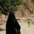 SetarehSatary's profile image
