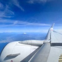 お城のエリー(おしろのえりー) (@elizabeth852824) 's Twitter Profile Photo