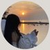 Bella (@mmjj56643) Twitter profile photo Bella (@mmjj56643) Twitter profile photo