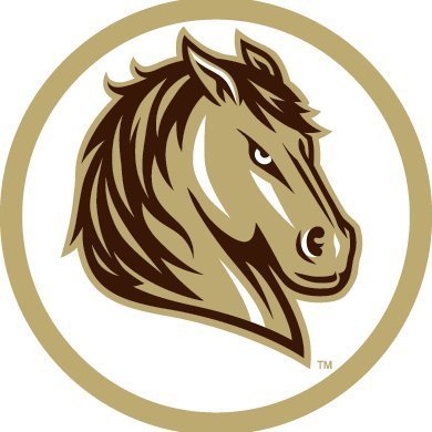 VP of Athletics at Southwest Minnesota State University