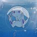 Vispa (@missvisp) Twitter profile photo Vispa (@missvisp) Twitter profile photo