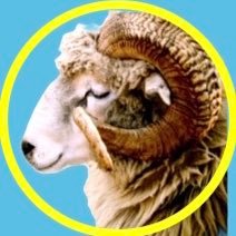 いいねフォローありがとうございます 無言okです&失礼します 日向坂 箱推し 加藤史帆 おとなのおとこ