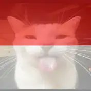 NixFallGuys's profile picture. 🇵🇱Polish-🇩🇪German