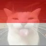 NixFallGuys's profile picture. 🇵🇱Polish-🇩🇪German