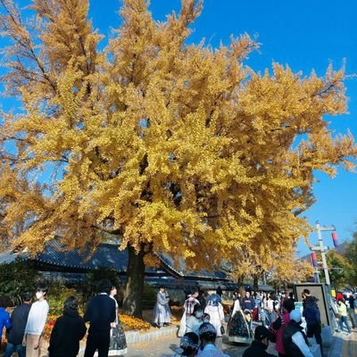 Indonesian in Seoul