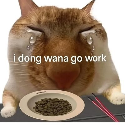 🎨 I draw..ig | 🔜 750 followers brbr | Discord: CATTOS#5745 - cattos5745
