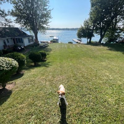 petebersani2's profile picture. 🐒