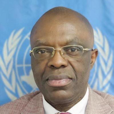 Medical Doctor & Public Health Epidemiologist /Director, Regional Advisor to RD & Acting WHO Representative to Guinea Bissau