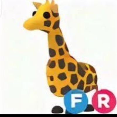 cozyfoxwx Profile