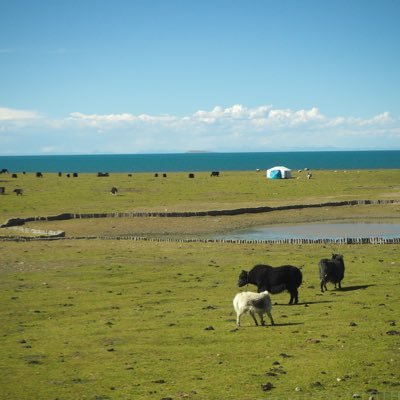 metsumuteneru's profile picture. 