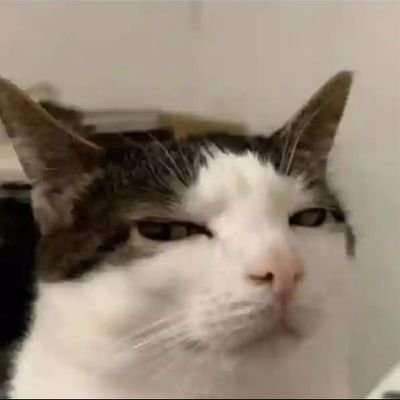 Rue_Wess's profile picture. kinda broke so help me