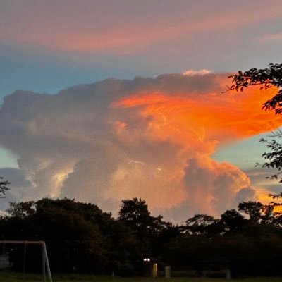 LCmvBuxJ4s72019's profile picture. HIPHOP 洋楽ロック好きの限界受験生男子 他にも古着、車も好き Vtuberも好き