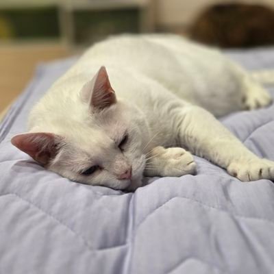 Miharnrn_22's profile picture. 雑多。日常。MSSP(箱推し/😆👽寄り)。ゲーム。映画。