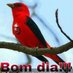 Alexandra de Góes Gomes (@alexandrad20220) Twitter profile photo Alexandra de Góes Gomes (@alexandrad20220) Twitter profile photo
