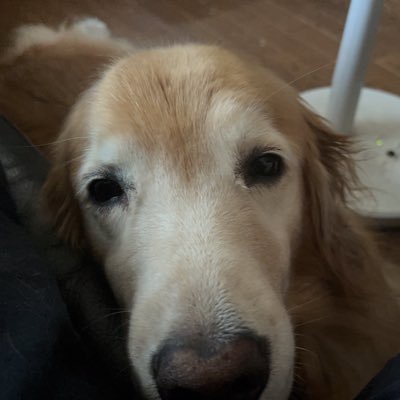gann72's profile picture. 株式投資は短期はテクニカルonlyだけど、会計の国家資格持ってて有報読むのが趣味、長期はファンダメンタルズ 僕のキャリアは 証券マン→商社マン→銀行マン→税理士（イマココ）