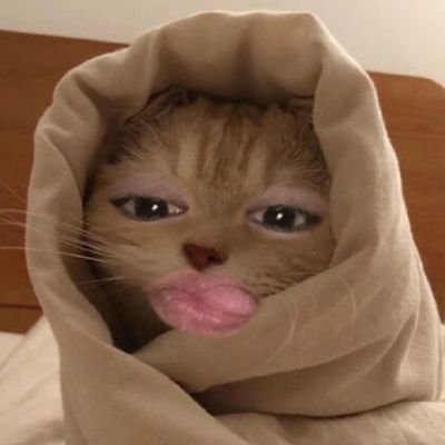 yarirak_0_0's profile picture. 