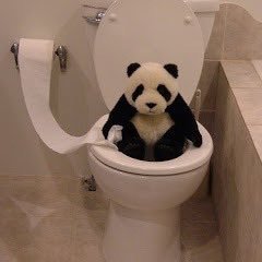 MayBeOxO's profile picture. 