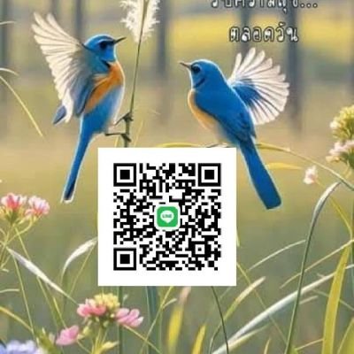 anuchababe5's profile picture. นวดน้ำมัน รีดเส้น ผ่อนคลาย