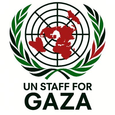 UN Staff for Gaza Profile