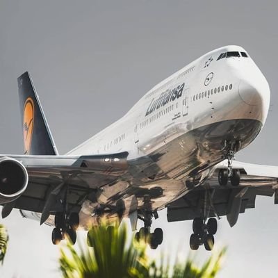 #aviación
Experto en aviación y en opinar de lo que sea