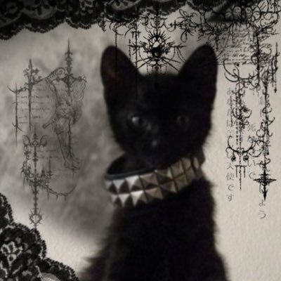 Stella112266's profile picture. 