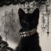 🐈⬛☕️ (@stella112266) Twitter profile photo 🐈⬛☕️ (@stella112266) Twitter profile photo