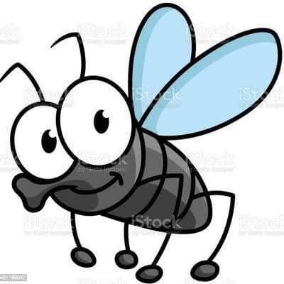 leite_edmu52040's profile picture. 