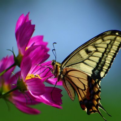 mymy970092's profile picture. 