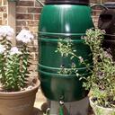 Beth Mortenson - @beth_catchrain - Twitter