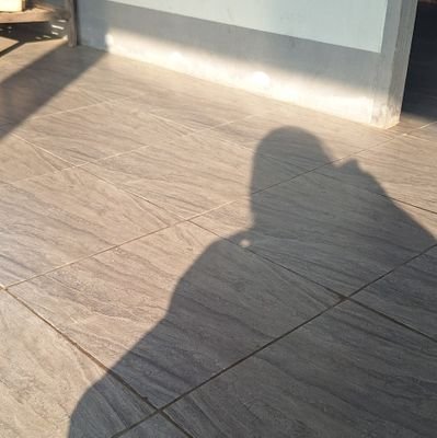 AmaraJunta45322's profile picture. 