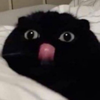 もうどうでもいいから、お願いだから話しかけないで
Follow me on my active account @Re1z0r9