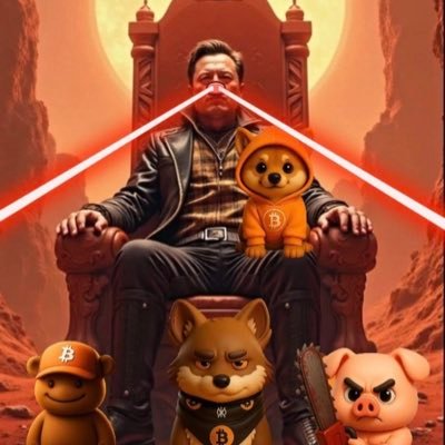 verelle0's profile picture. crypto,meme coin trader/maker                              my coin is linked