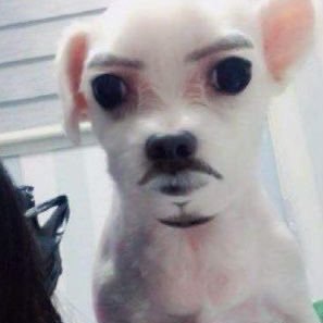 qhsrb_'s profile picture. 