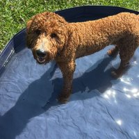 Reese (@chirphardpetti) 's Twitter Profile